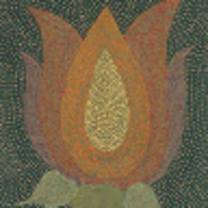 Meet your Posher, Runa